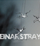 sr041 - Einar Stray