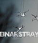 sr041 Einar Stray