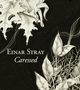 sr041_2 - Einar Stray - Caressed